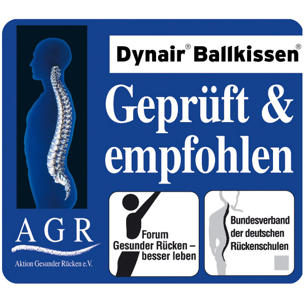 Togu Ballkissen Gymnastik und Training Reha Service